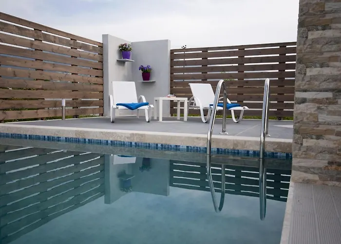 Xenos 1 With Private Swimming Pool Near The Sea Villa *
